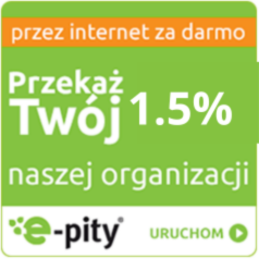 Program do rozliczania PIT 2016 online - e-pity 2016